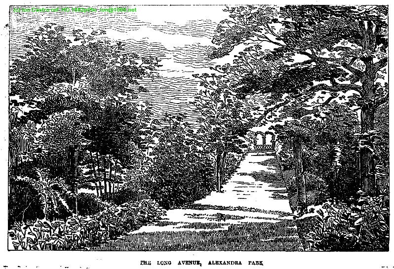 Opening Hastings Alexandra park 1882